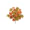 Green &#x26; Orange Maple Leaf Bush